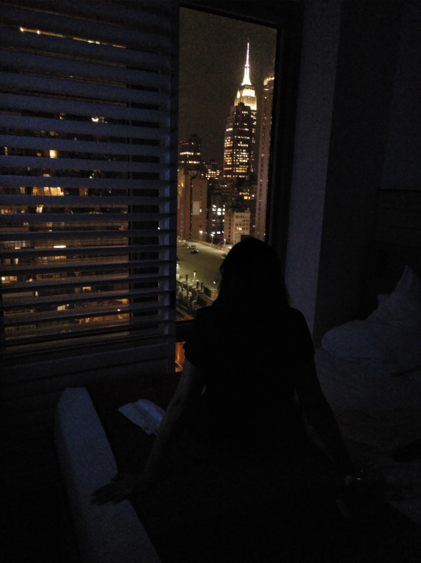 Manhattan desde el hotel